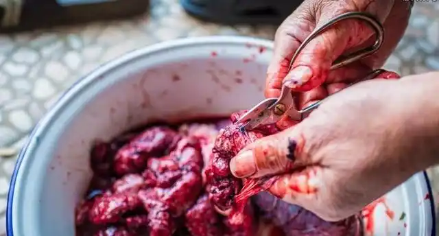 你们生完孩子后的胎盘是怎么处理的呢?