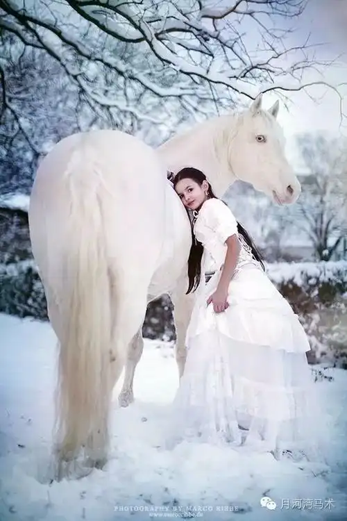 骑白马的不一定是王子