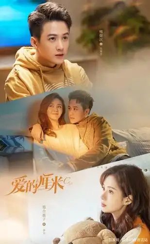 只是,前几次看到《爱的厘米》这个名字,以为又是一部磕糖的偶像剧