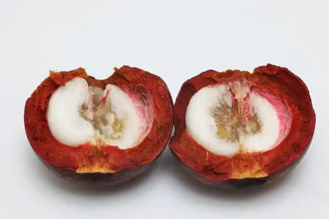 印度尼西亚山竹进口代理报关