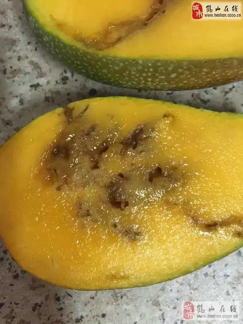 鹤山小范街买的海南青芒果!切开睇到甘多虫!