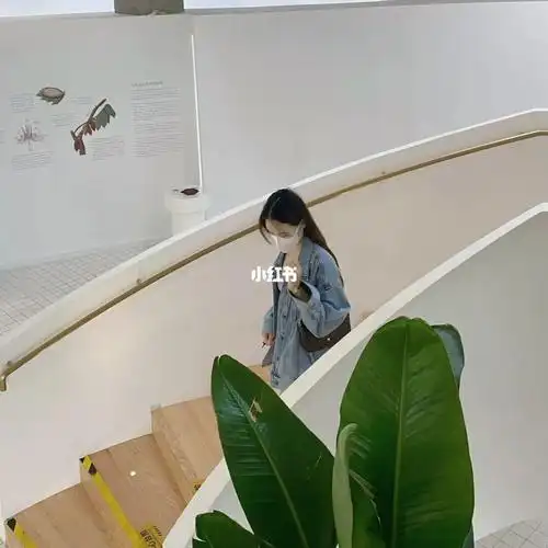 打卡豫园新开的巧克力博物馆