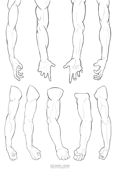 作业:如何学动漫插画之手臂的画法与训练技巧 - rh-13-221铜栗子 - 轻