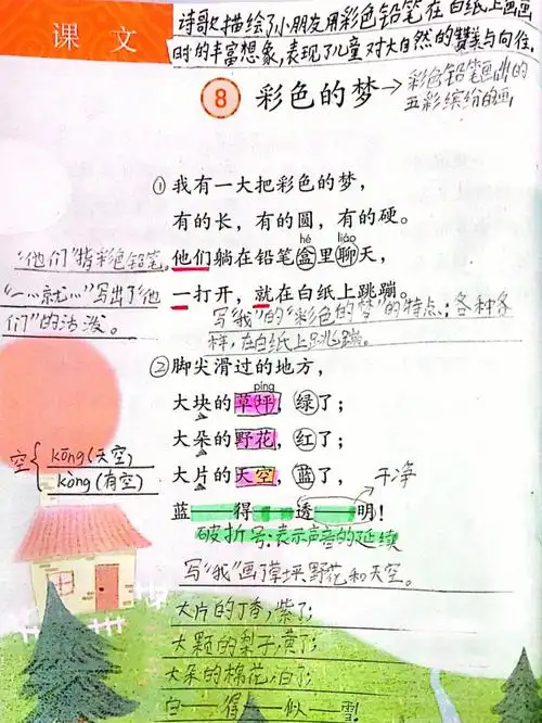 彩色的梦枫树山的喜鹊