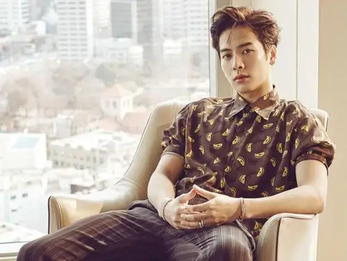 王嘉尔身高王嘉尔个人简介