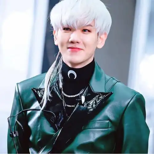 边伯贤银发/不是有那么一句话吗,一见伯贤,误终身