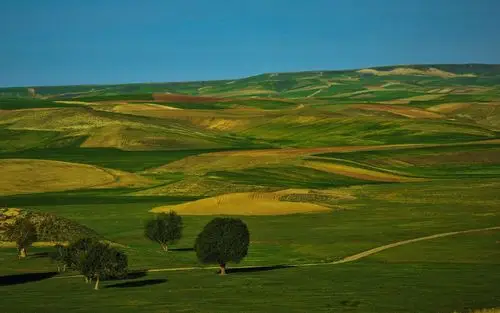 绿色的田野,山丘,美丽的自然景观 iphone 壁纸