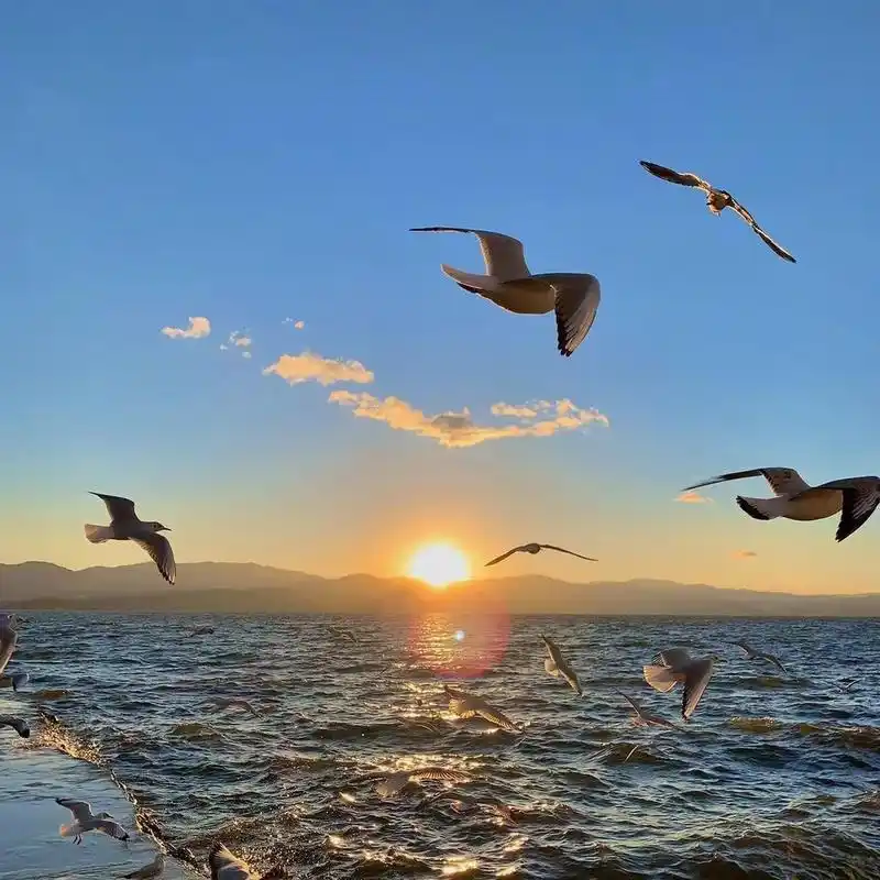 日出图片风景微信头像用什么好 日出代表着朝气蓬勃的一天的开始!