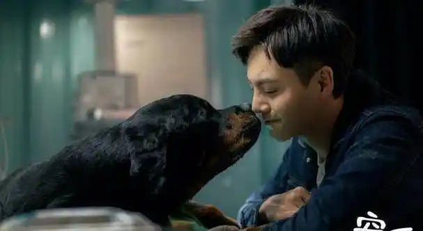 《宠爱》陈伟霆钟楚曦亲密被狗打断,于和伟机场跪求偶像签名_方欣_赵