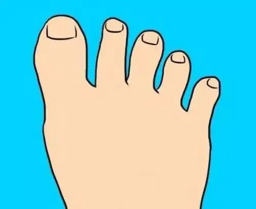 脚趾彩色简笔画