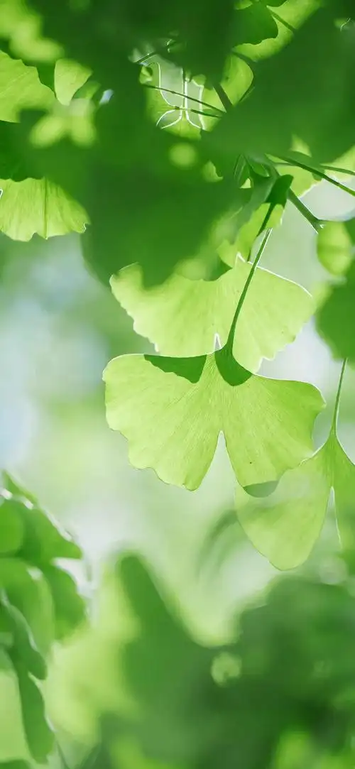 因而各类鱼龙混杂的人都有……6969……"韩英,"温客行突然开口,"