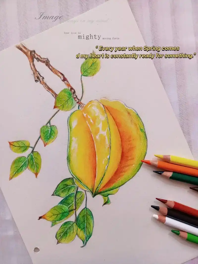 彩铅手绘 杨桃."杨杨得意,桃你欢心",吃的不是水果,是心情 - 抖音