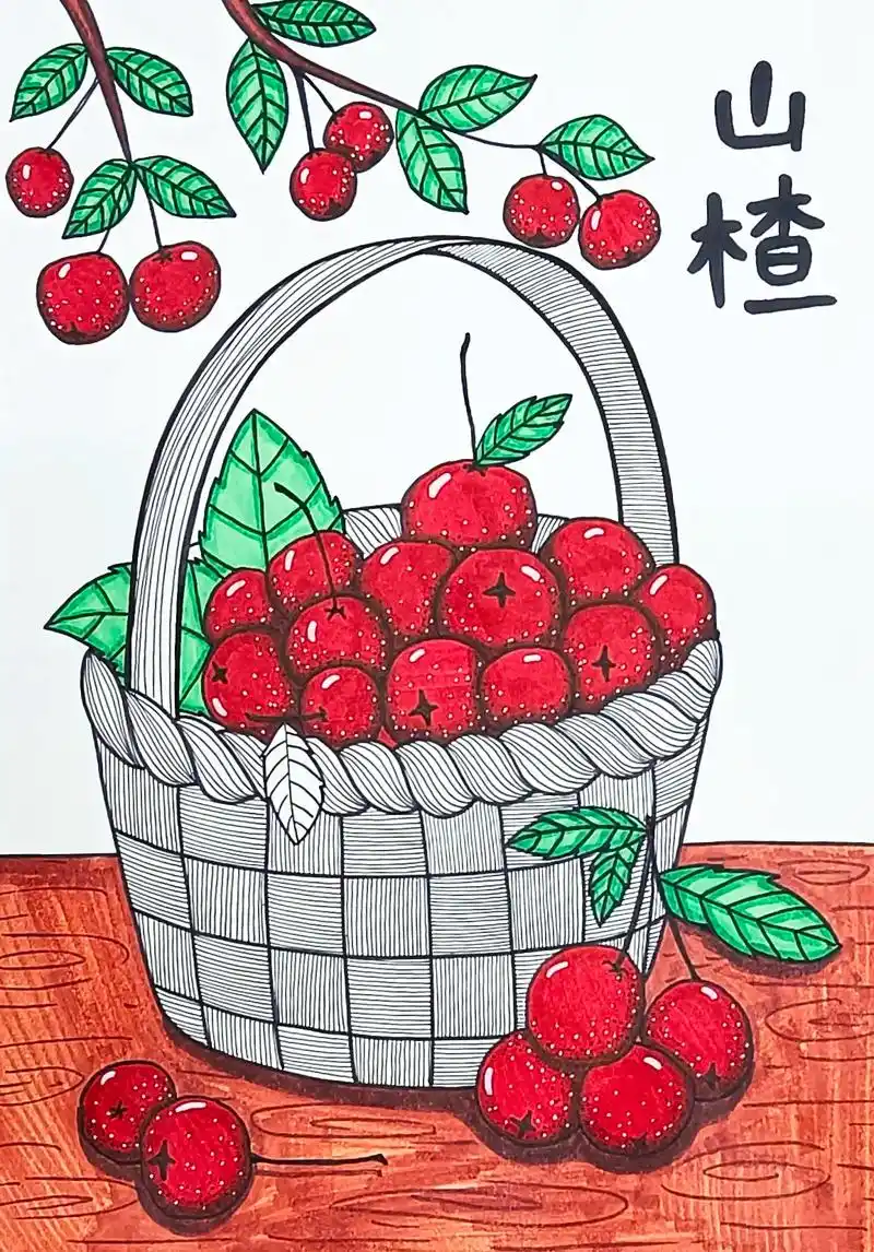 篮子里的山楂‖写生创意画.#线描 #手绘 #画画 #简笔画  - 抖音