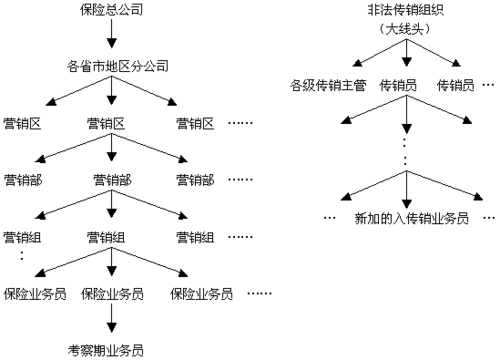 先入者为主,非法传销利用金字塔架构造成的不良社会影响,在给后来者