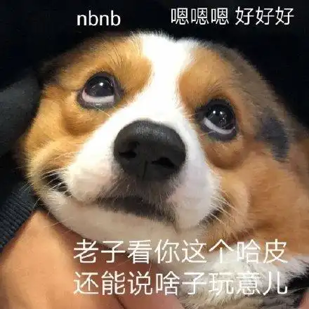 沙雕猫猫狗狗表情包[喵喵][doge] 来自微博表情包 - 微博