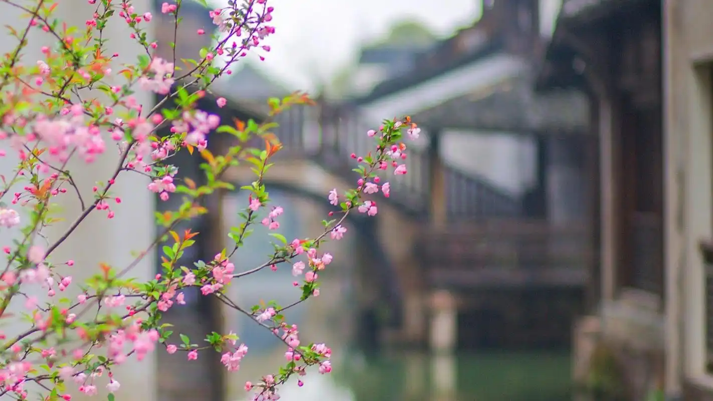 江南水乡乌镇风景图片电脑壁纸