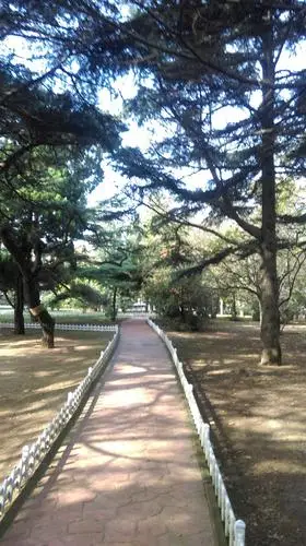 青岛八大关风景区2020.11.14