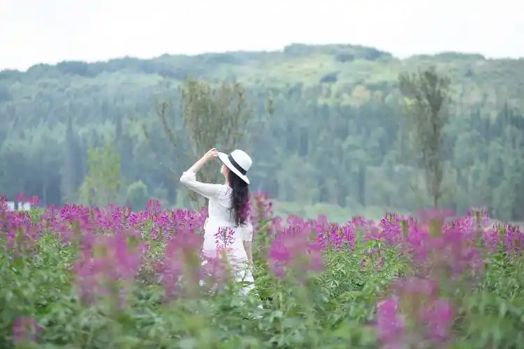 其它 时光的背影如此悠悠 写美篇如果我能够看到我的背影, 我想她一定