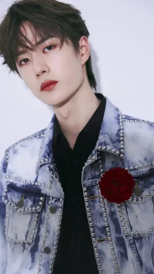 抖音作品王一博红芍药