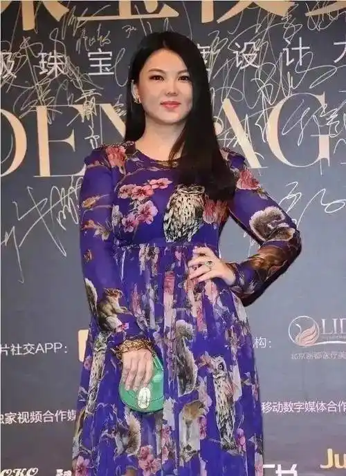 李湘胖到了150斤!穿印花裙大肚抢镜,手上黄金链条包更是奢华