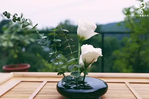 家装花艺| 教你快速学会中式,欧式,ins风花艺搭配