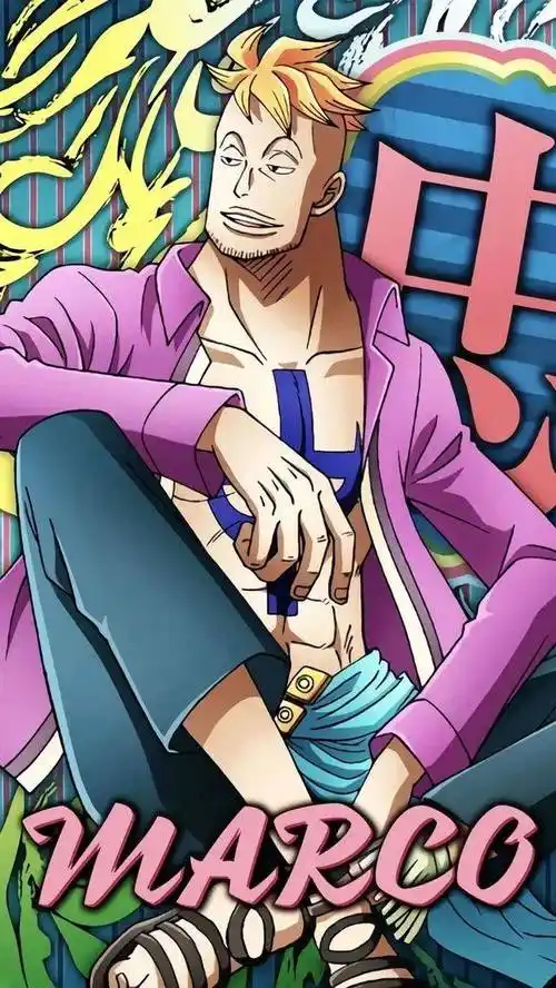 海贼王壁纸│十位高颜值男性角色