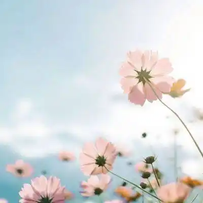 2017微信头像图片大全(令人向往的微信风景头像大全)