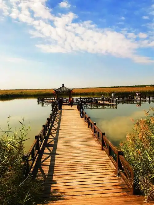 秋色风景美如画《南大港湿地》 - 美篇