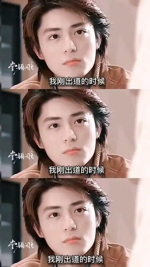 你眼中的老干部,也曾是别人的小奶狗,来品品霍建华年轻时的盛世美颜!