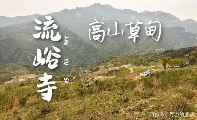 看牛羊成群的高山草甸 蓝田流峪寺穿越