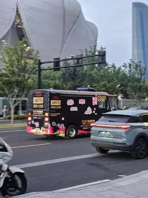 王俊凯理想型谁啊!朋友去看演唱会的时候,我趣,都看见应援车了都!