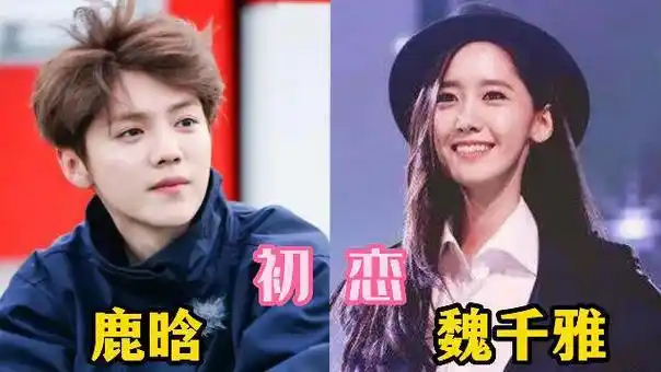 王丽坤的眼光不错|杨颖|杨幂|陈伟霆|阿sa|胡歌老婆_网易订阅