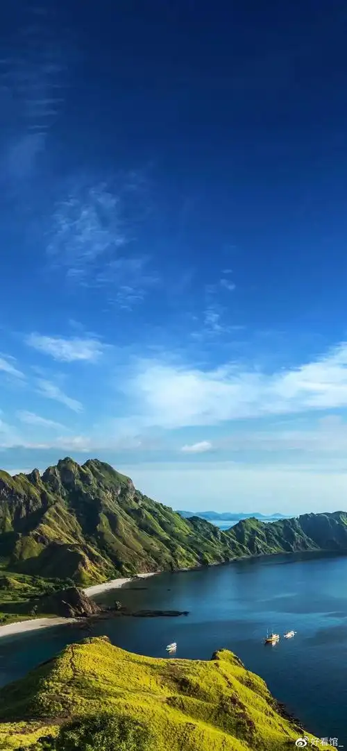 4k超高清竖屏|很火的潮图壁纸|高清1080p