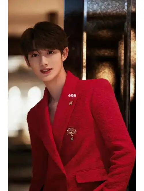 可以送丁程鑫一片金海吗