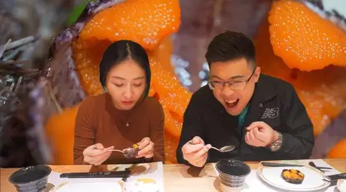 最近很多股东在问我们为什么好久都没有见到维维和观辰了