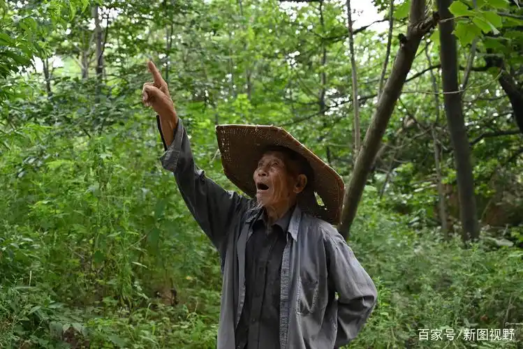 82岁老汉独居深山,4个儿子,也有老伴,生活方式原始,当今少见