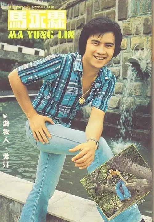 叶蒨文:这一辈子最正确的决定,就是嫁给二婚带娃的林子祥