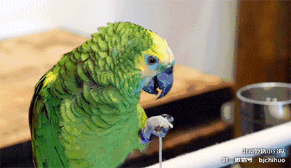 420_242gif 动态图 动图