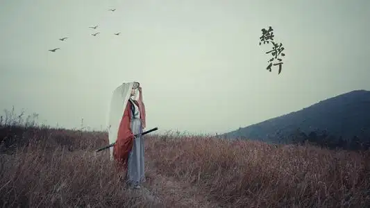 我们都曾青衣执剑仗天涯