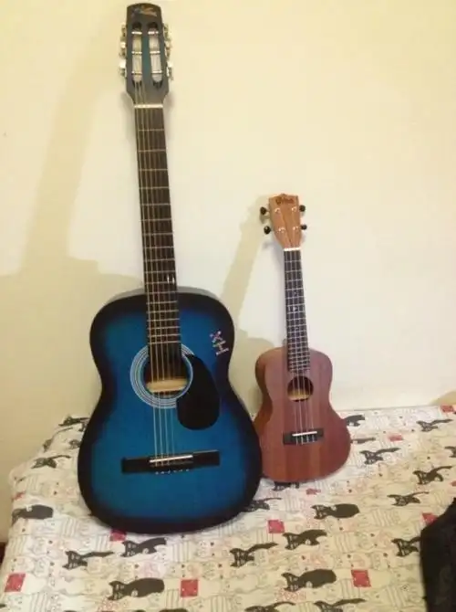 其实,尤克里里和吉他是两种不同风格的乐器,它们各有优缺点,选择哪一