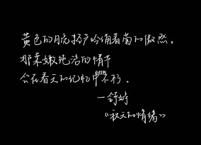 ipad手写黑底白字就是最好看的