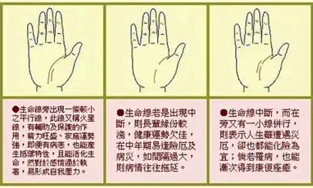 男人手相生命线图解了解自己健康的大运