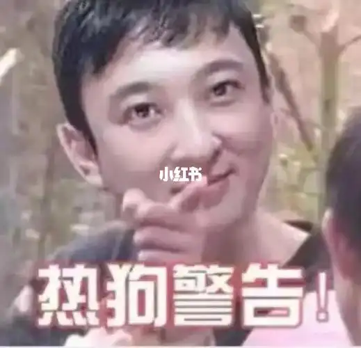 王思聪孙一宁聊天记录中的表情包2