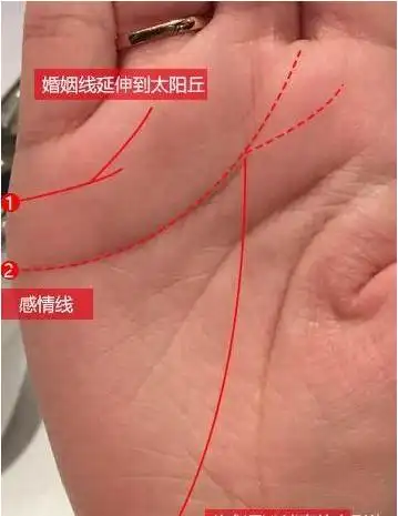 如图所示的手纹,如果一个女生的生命线的起点位于拇指和食指之间的