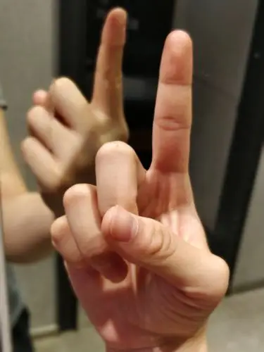 手势挑战赛开始啦!