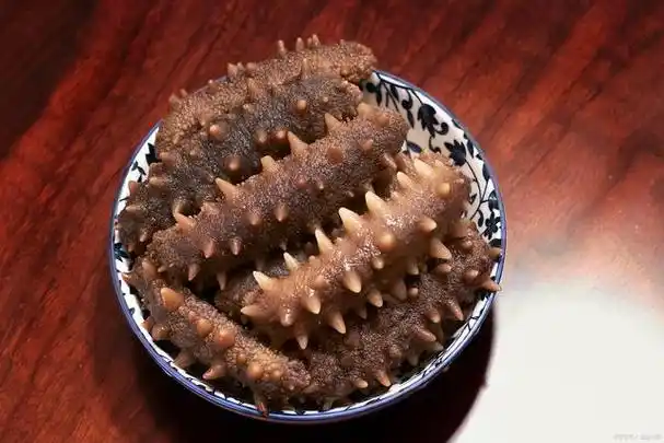 海参作为一种珍贵的海产品,因其丰富的营养价值和独特的健康功效而被