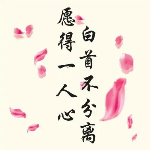 c0904谁的妈就容易,谁不是父母手心的宝2合肥·七里香榭l霓裳