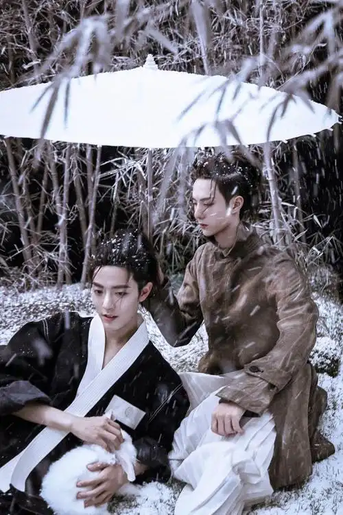 肖战王一博博君一肖‖壁纸