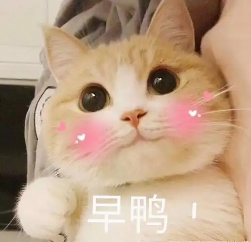 猫咪早鸭早鸭猫咪表情