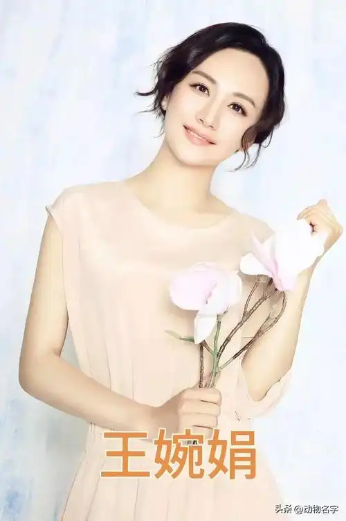 芜湖的女演员都很美,排名不分先后,你觉得谁是你心中的白月光!